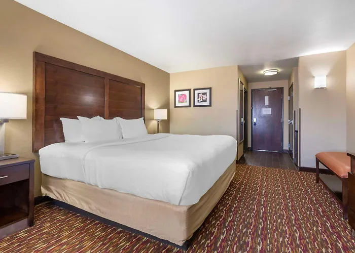 Comfort Inn & Suites Artesia