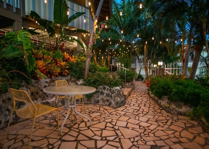 Lazy Parrot Inn