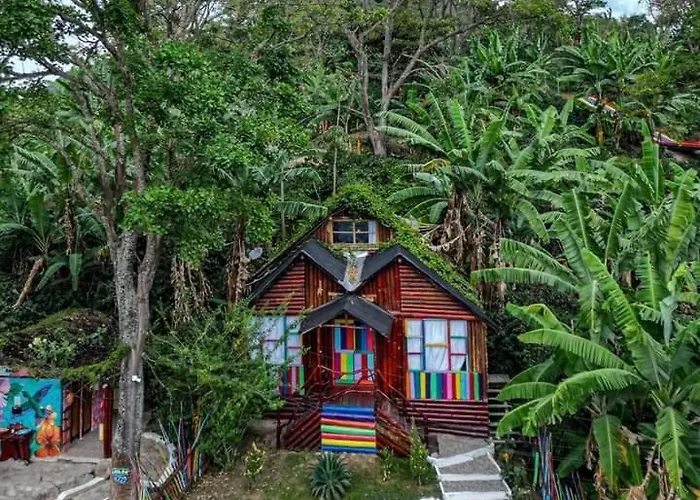 Hotel Nidos De Pajaros Gigante