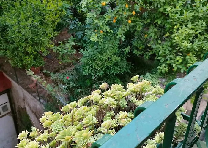 A casa di Freddie
