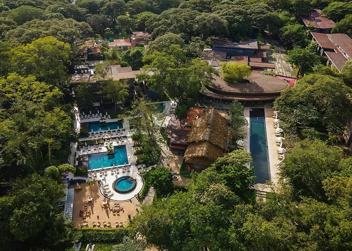 El Mangroove Papagayo, Autograph Collection
