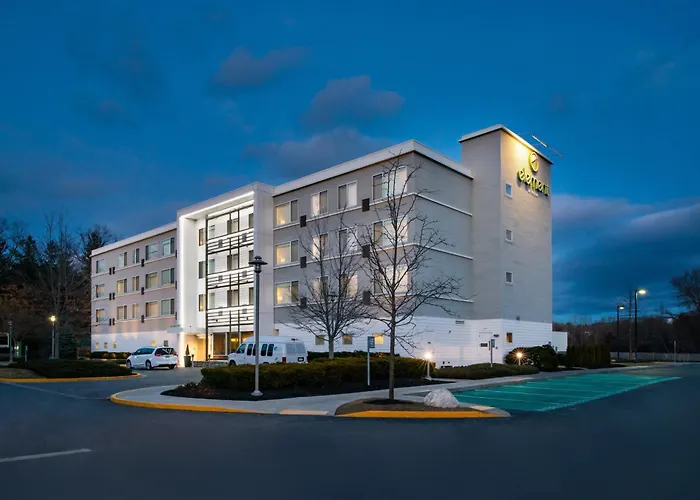 Element Lexington