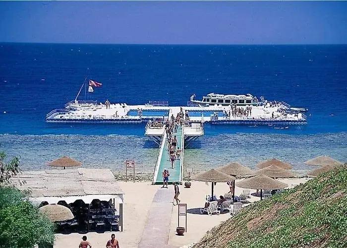 Harem At Coral Bay