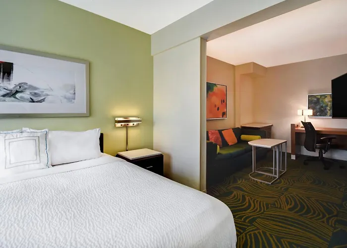 Springhill Suites By Marriott Baltimore BWI Airport