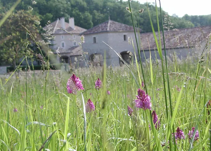 Château Lecusse - La Grande Roche - Hôtel, Spa, Boutique&Restaurant
