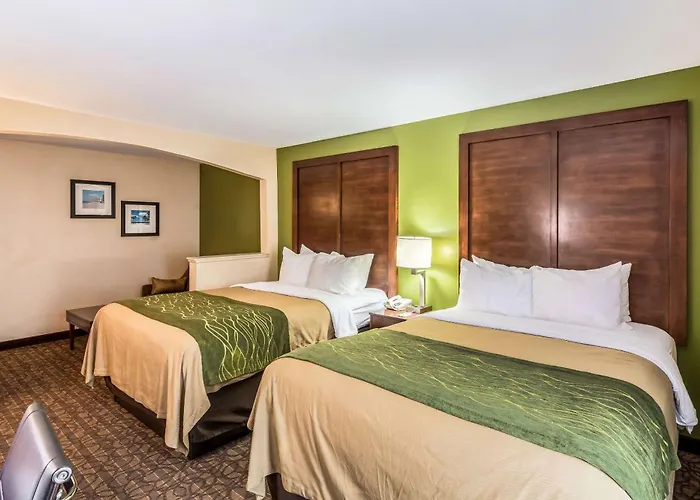Comfort Inn & Suites North