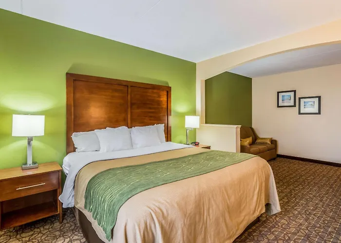 Comfort Inn & Suites North