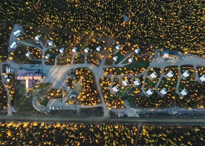 Northern Lights Ranch Levi