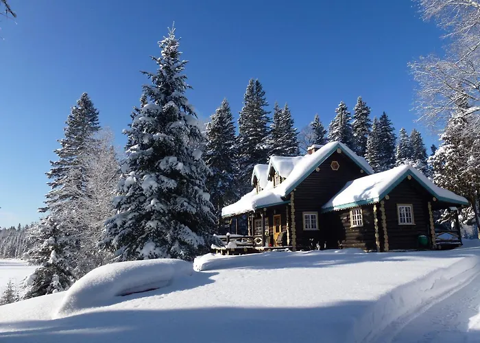 Domaine Le Bostonnais - Le Village En Bois Rond