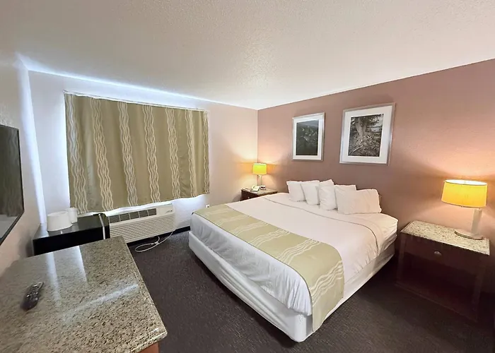 Bison Inn & Suites On University