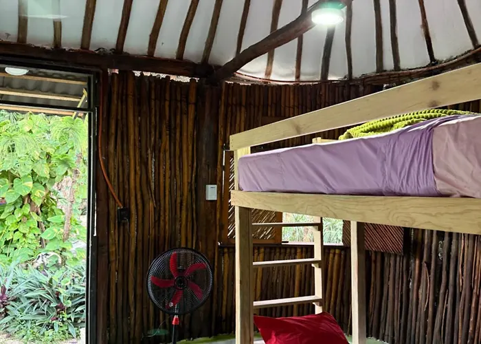 Tree House Tulum