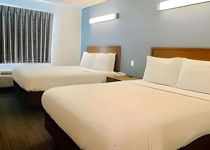 Comfort Inn Rohnert Park Sonoma County