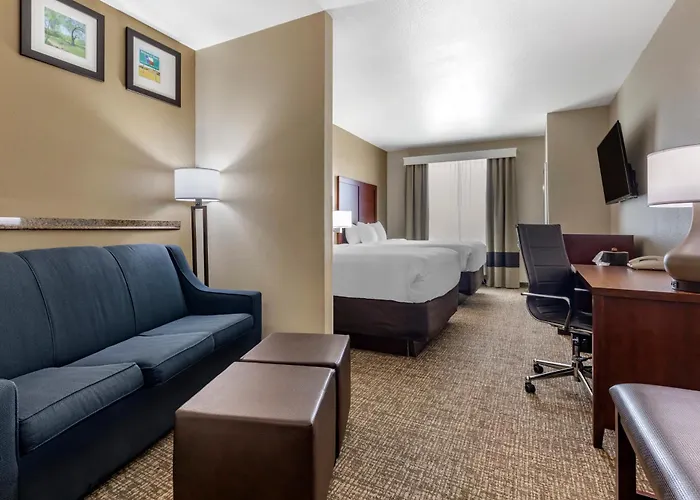 Comfort Suites - Dallas North