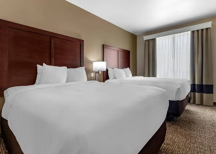 Comfort Suites - Dallas North