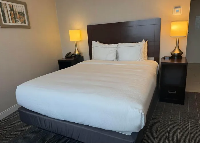 The Brookhaven Atlanta Hotel Druid Hills