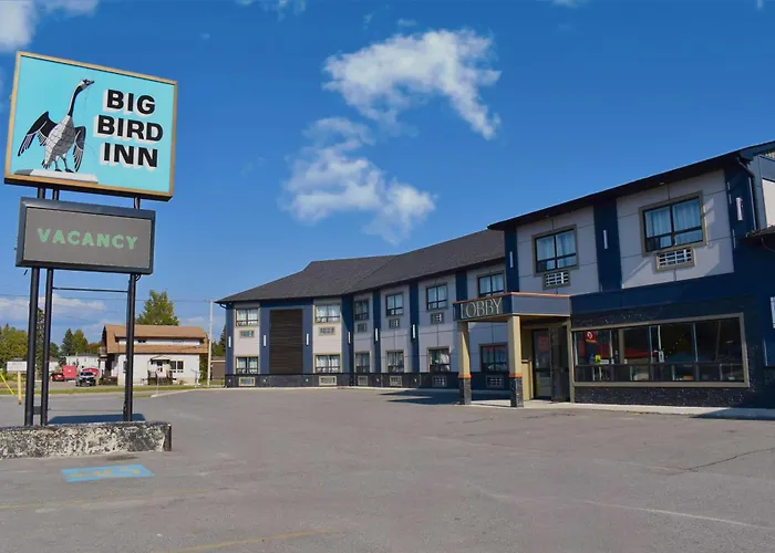 Big Bird Inn Wawa, Surestay Collection By Best Western
