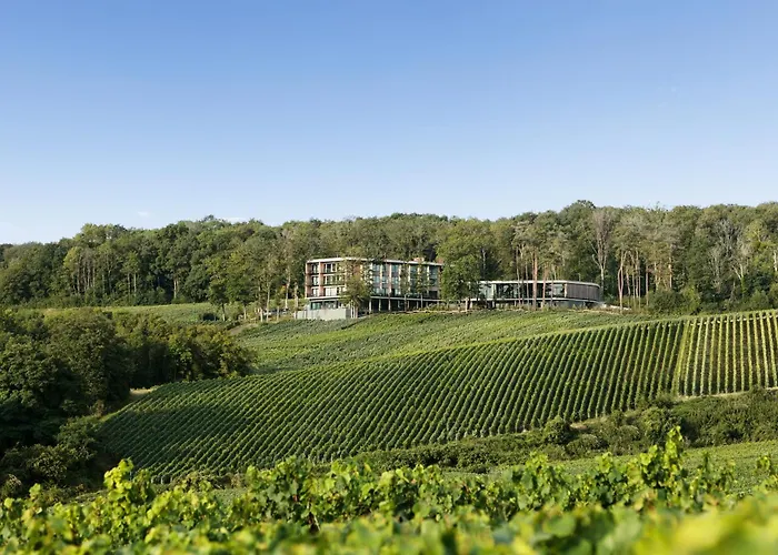 LOISIUM Wine&Spa Hotel Champagne