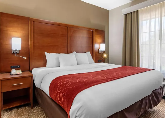 Comfort Suites West I-20