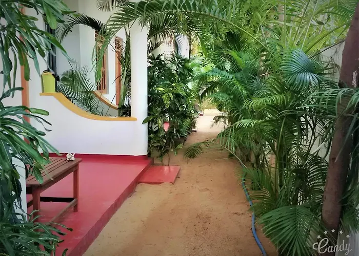Surf & Sand Hotel Arugambay
