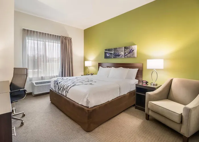 Sleep Inn At Discovery Park Of America Union City