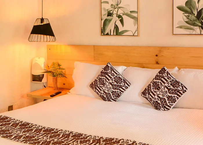Petit Mesón (Pet Friendly Hotel)