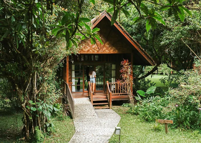 Our Jungle House - SHA Certified