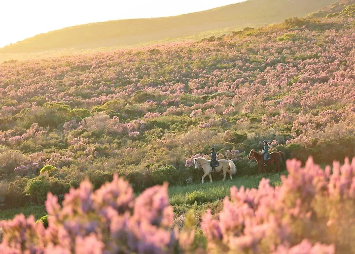 Grootbos Private Nature Reserve Gansbaai