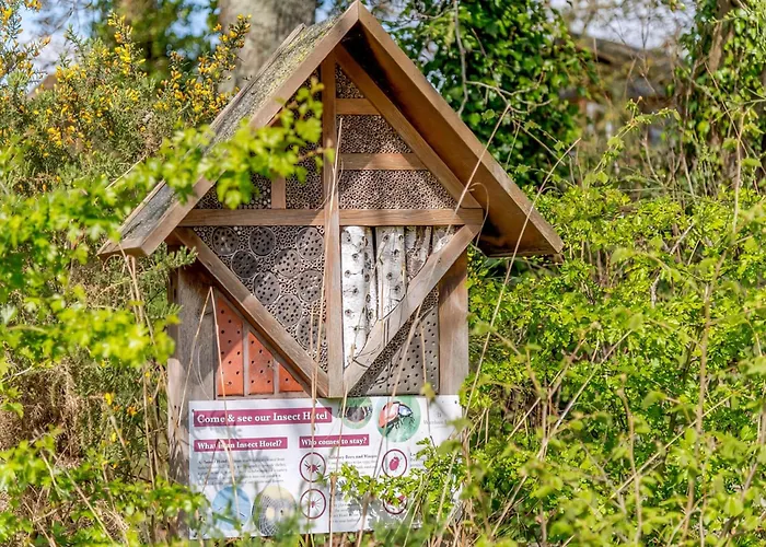Wareham Forest Lodge Retreat