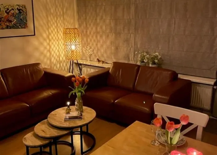 Appartementen Zuiderstrand H