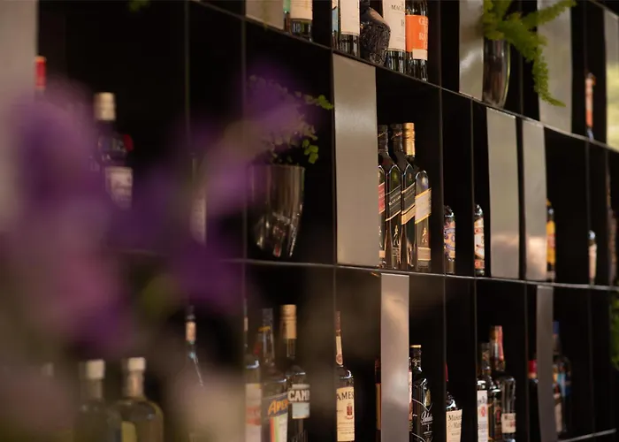 Hualta Hotel Mendoza, Curio Collection By Hilton