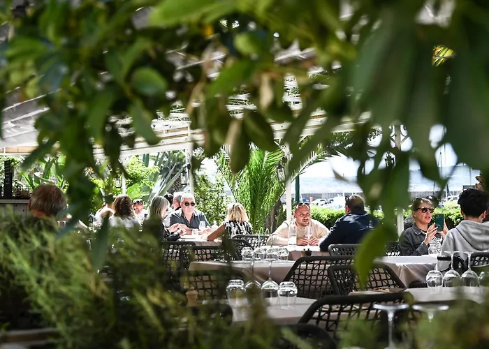 Hotel Les Palmiers