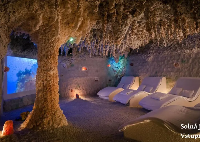 Wellness Hotel Frymburk nad Vltavou