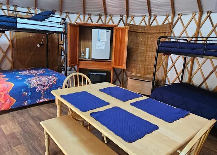 Mountain Springs Cabins