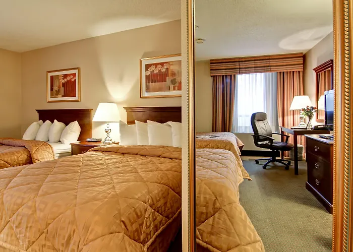 Comfort Inn & Suites Ingersoll