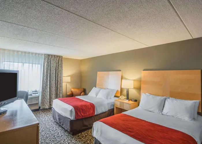 Comfort Inn - Nys Fairgrounds Warners