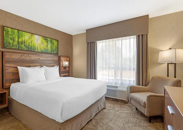 Best Western Plus Valemount Inn & Suites