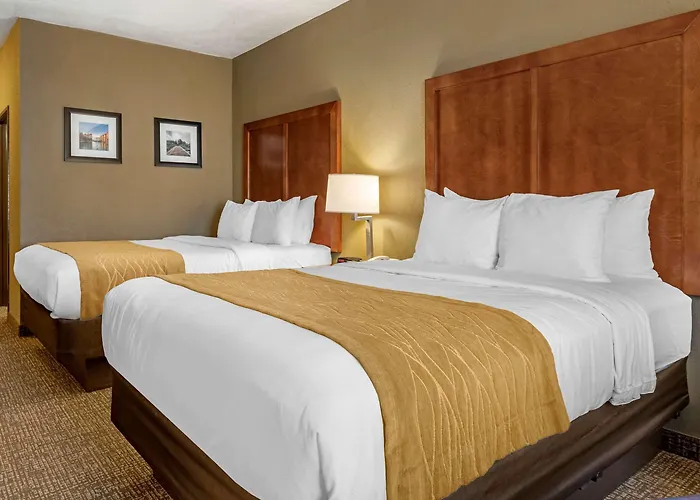 Comfort Inn Shelbyville North