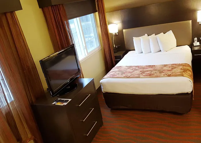 Mainstay Suites Greenville Airport Greer