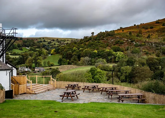 The Berwyn Arms