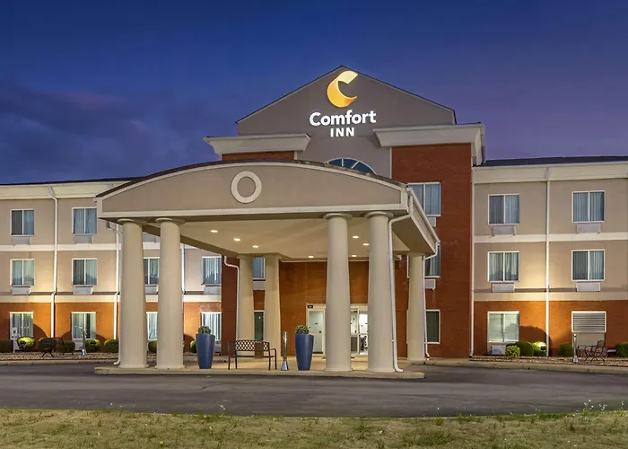Comfort Inn Us Hwy 80 Demopolis