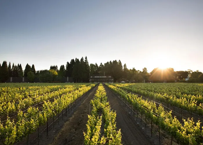 Harvest Inn St. Helena