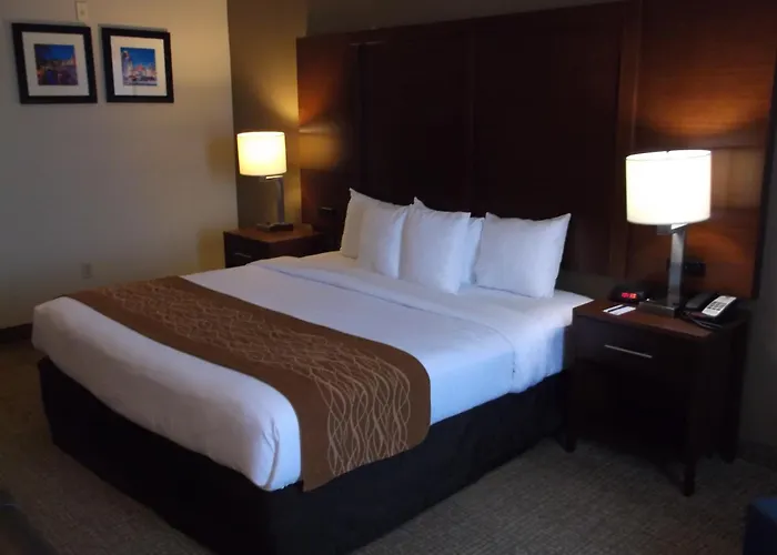 Comfort Inn & Suites Seguin