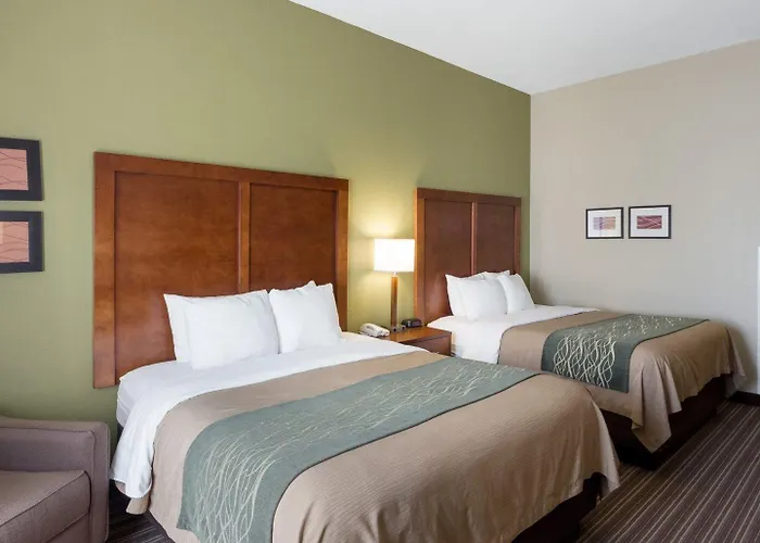 Comfort Inn & Suites Fayetteville-University Area