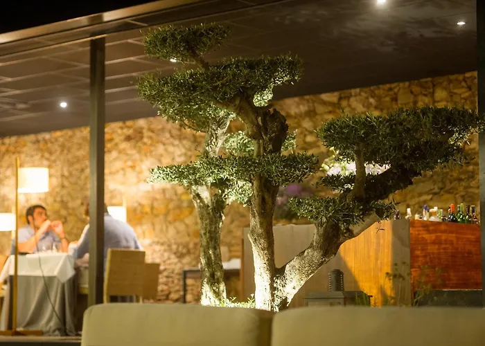 Hotel Del Teatre - Adults Only Regencos