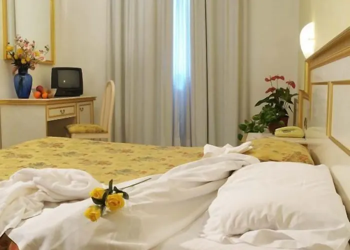 Hotel Alexander Business E Conference Abano Terme