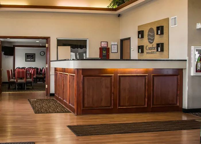 Comfort Inn & Suites Dimondale - Lansing