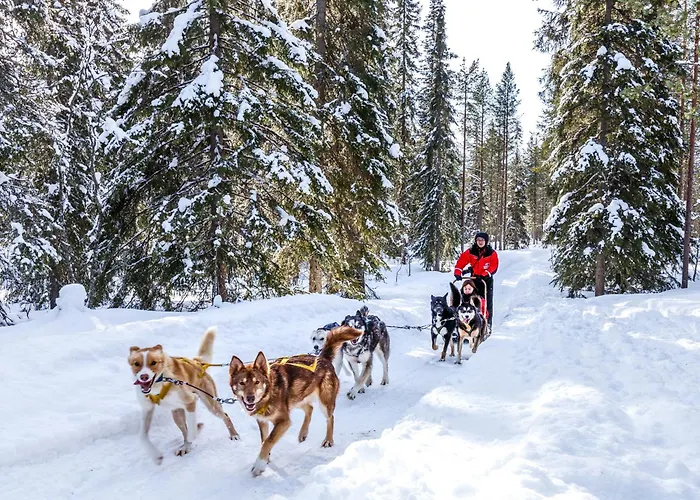 Lapland Hotels Bear'S Lodge