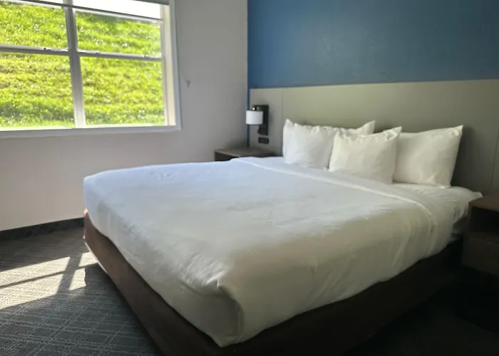 Comfort Inn & Suites Calhoun South