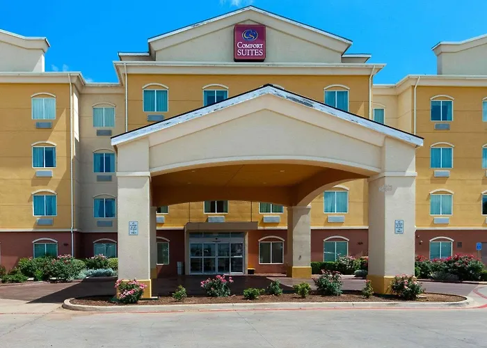 Comfort Suites University