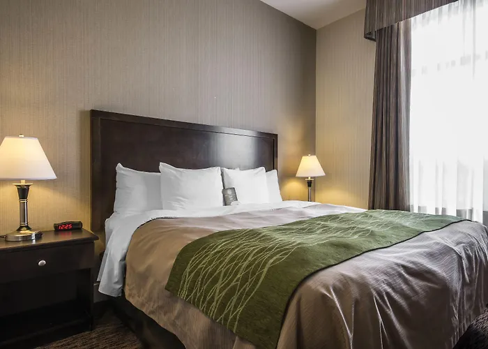 Comfort Inn & Suites Surrey
